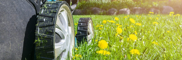 Mowing Lawns. Lawn Mower On Green Grass. Mower Grass Equipment. Mowing Gardener Care Work Tool. Clos