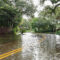 Flooded suburban street with submerged road, surrounded by trees and residential houses under cloudy skies.