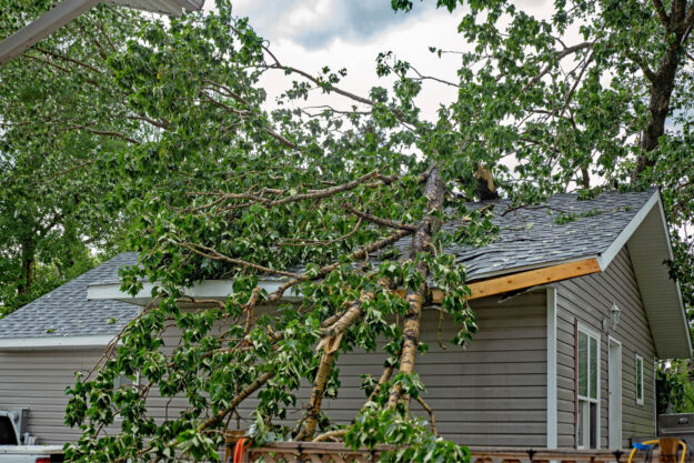 hurricane-damage Fallen tree resting on a gray house roof after a hurricane, causing potential damage and repair needs.